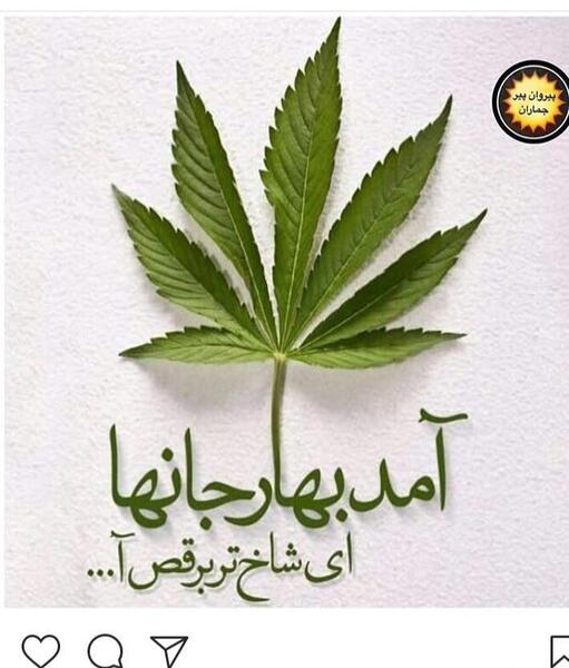 عکس نقاشی گل ماری جوانا