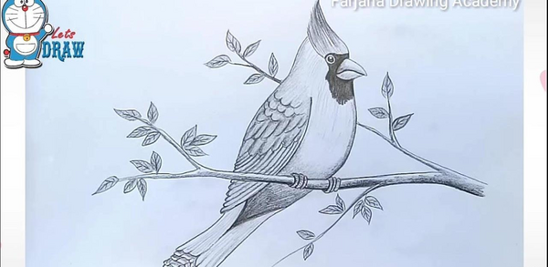 عکس نقاشی سیاه قلم پرنده