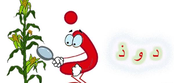 عکس نقاشی ذ