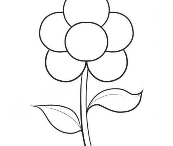 عکس نقاشی گل تقارن