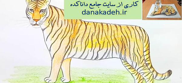 عکس نقاشی سیاه قلم یوز پلنگ