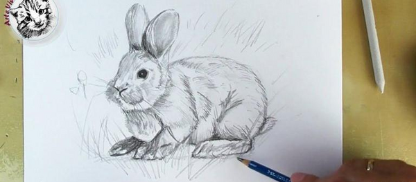 عکس نقاشی سیاه قلم خرگوش