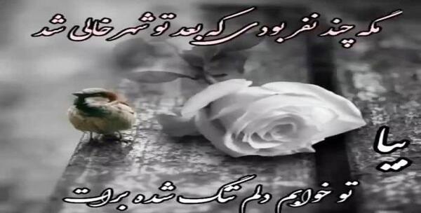 عکس پنجشنبه های دلتنگی جدید