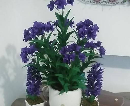 عکس نقاشی گل ژاله