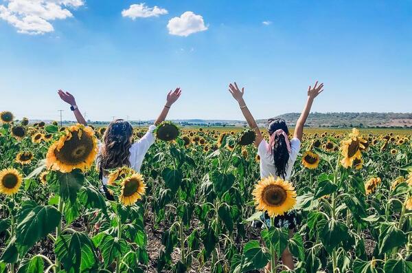 ژست عکس در مزرعه ذرت
