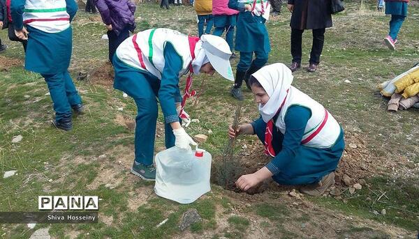 عکس روز درختکاری دانش آموزان