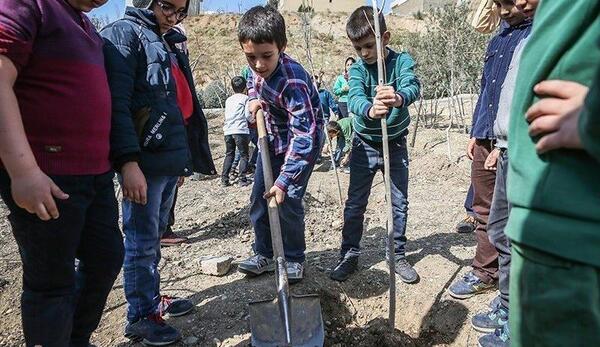 عکس روز درختکاری دانش آموزان