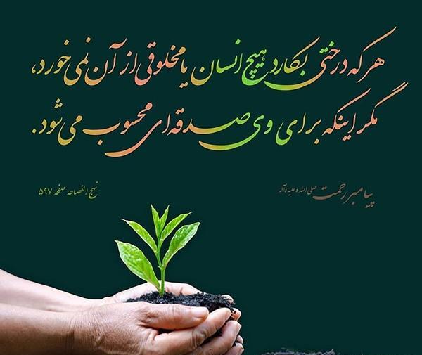 عکس روز درختکاری دانش آموزان