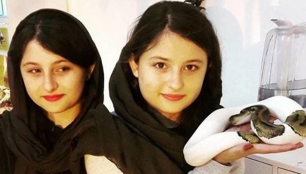 عکس شوهر سارا نیکا فرقانی اصل