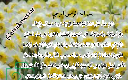 عکس صلوات خاصه حضرت معصومه