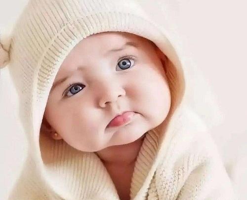 عکس نی نی تپل