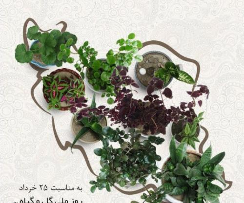 عکس نوشته روز گل و گیاه