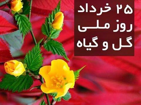 عکس نوشته روز گل و گیاه