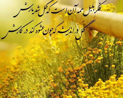 عکس نوشته روز گل و گیاه