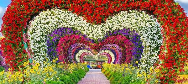 عکس باغ گل دبی