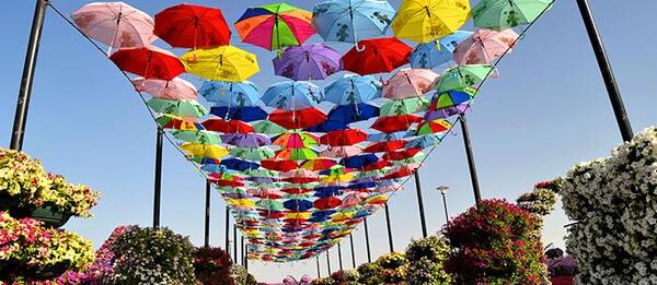 عکس باغ گل دبی