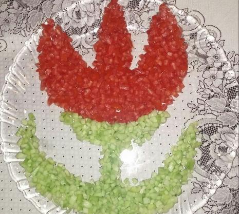 عکس سالاد طرح پرچم ایران