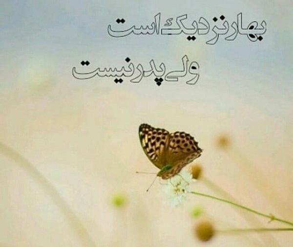 عکس روز پدر نزدیک است