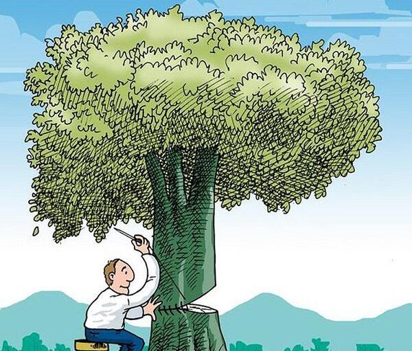 عکس روز درختکاری کودکان