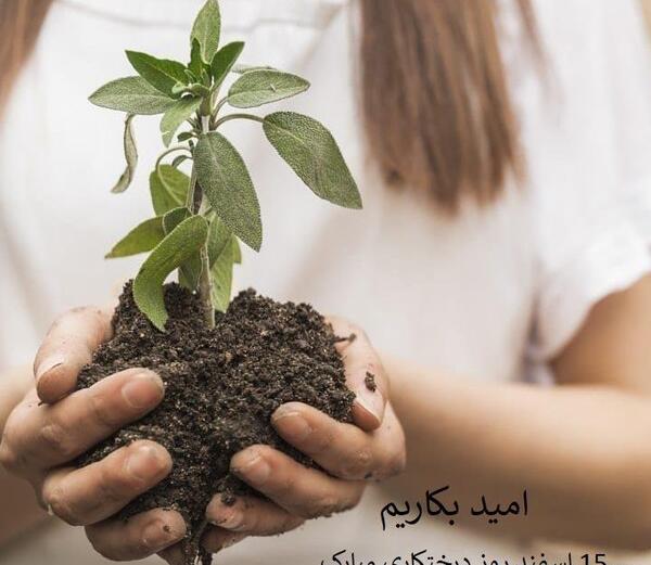 عکس روز درختکاری کودکان
