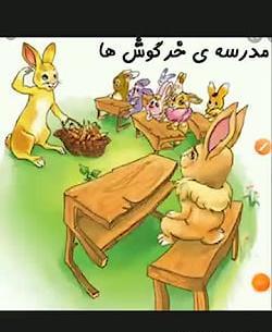 عکس مدرسه خرگوش ها
