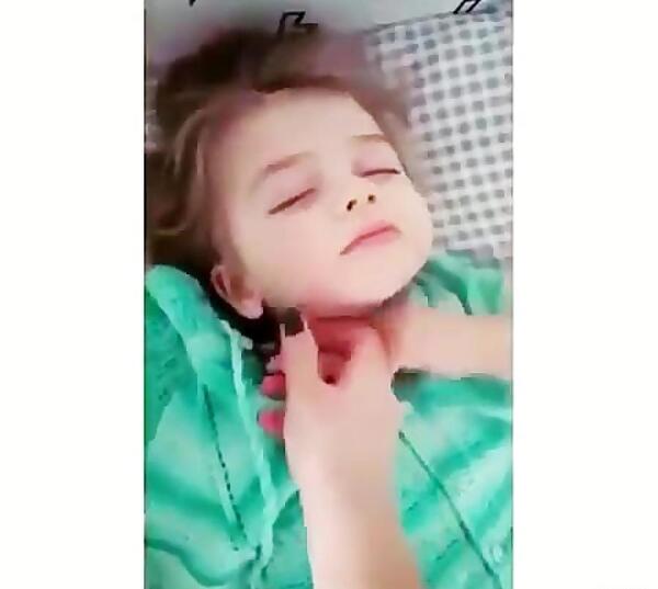 عکس نی نی شاخ