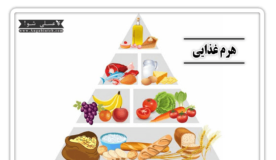 عکس هرم غذایی کلاس سوم