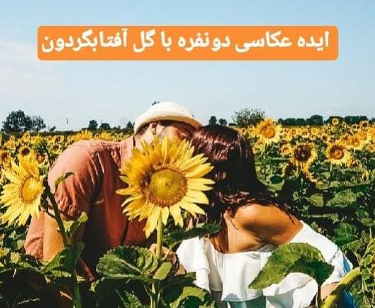 ژست عکس آفتابگردان