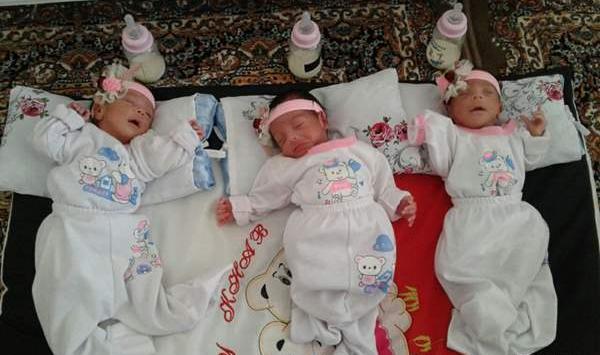عکس نی نی سه قلو