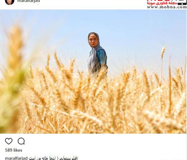 ژست عکس مردانه در گندم زار