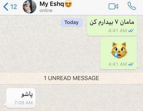 عکس کلاس آنلاین خنده دار