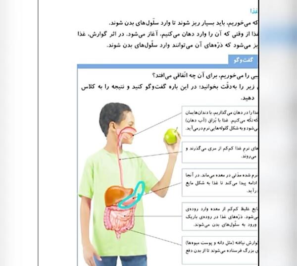 عکس گوارش غذا کلاس چهارم
