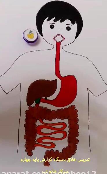 عکس گوارش غذا کلاس چهارم