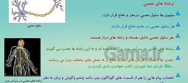 عکس سلول عصبی کلاس پنجم