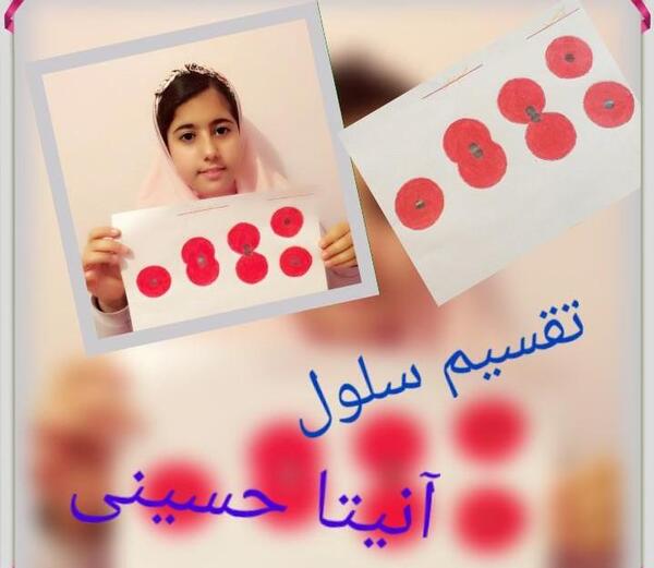 عکس کلاس چهارم ب