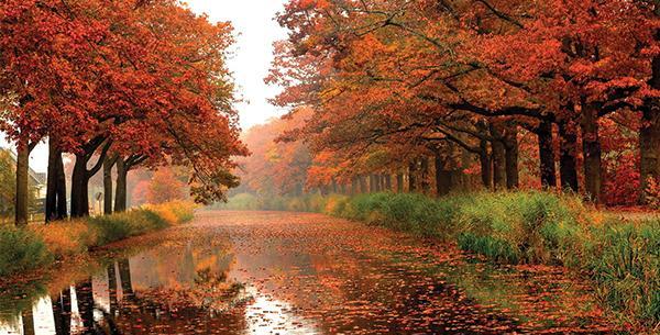 عکس تصاویر زیبای پاییز تهران