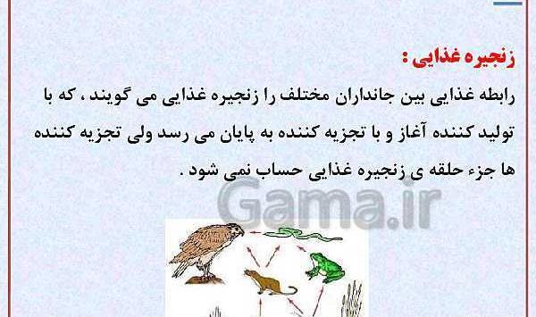 عکس زنجیره غذایی کلاس ششم