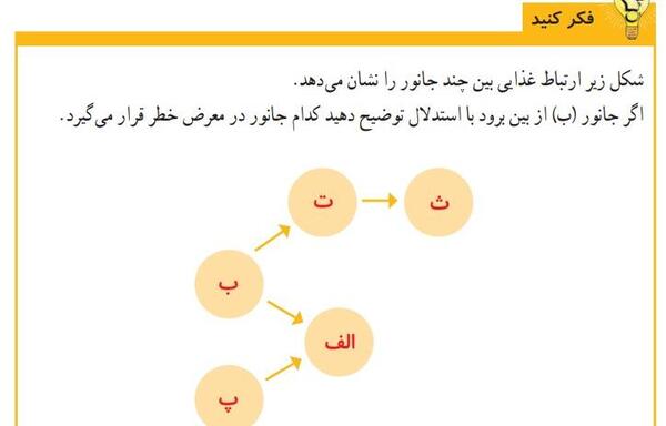 عکس زنجیره غذایی کلاس ششم