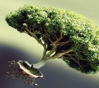 عکس مدرسه ظهیر امامی اباده