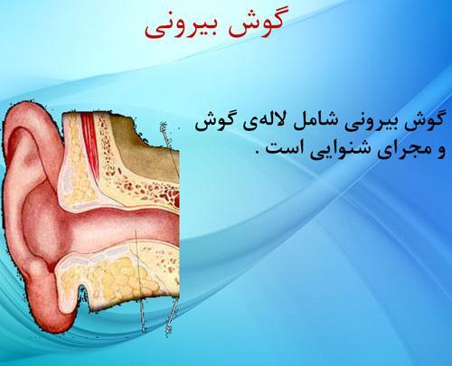 عکس گوش کلاس پنجم