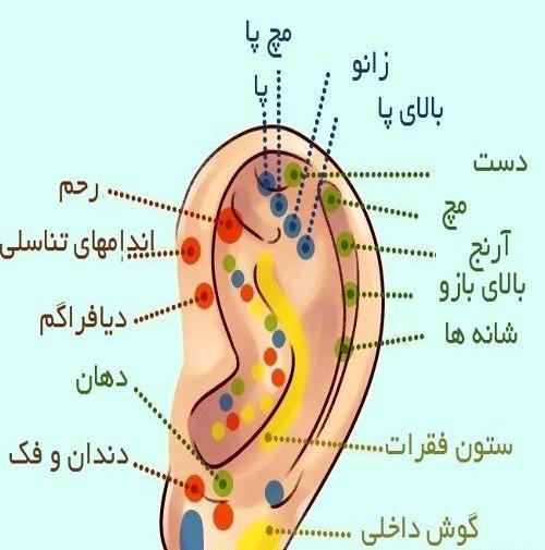 عکس گوش کلاس پنجم