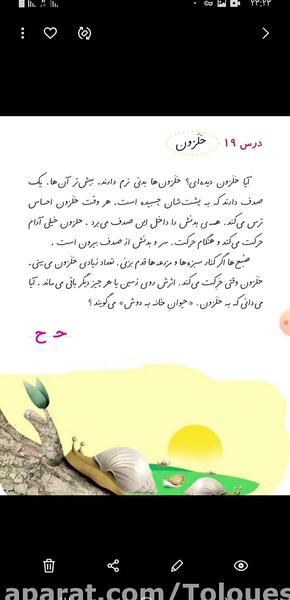 عکس حلزون کلاس اول