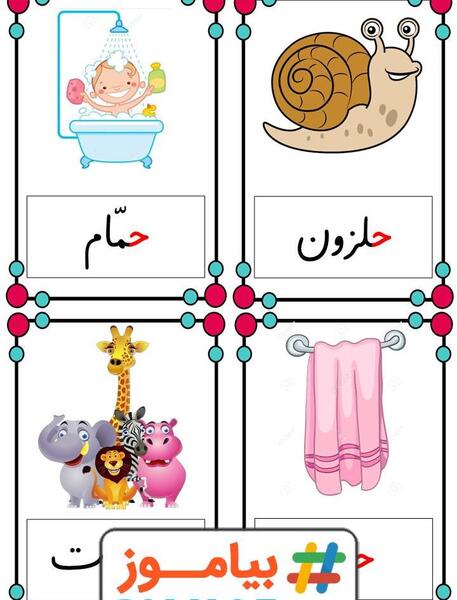 عکس حلزون کلاس اول