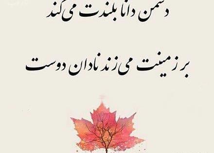 عکس پروفایل دوست نادان