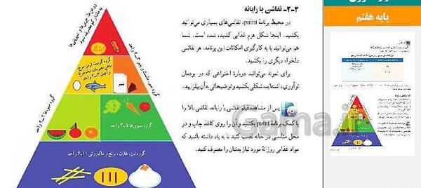 عکس هرم غذایی کلاس هفتم