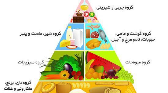 عکس هرم غذایی کلاس هفتم