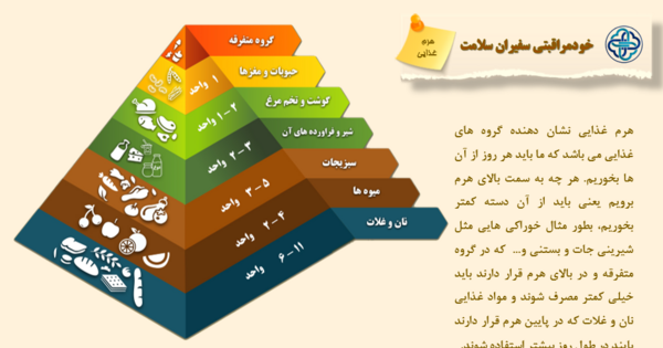 عکس هرم غذایی کلاس هفتم