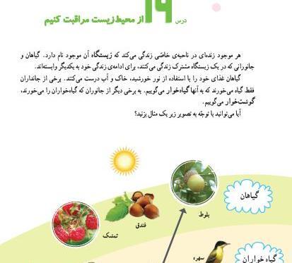 عکس زنجیره غذایی کلاس چهارم