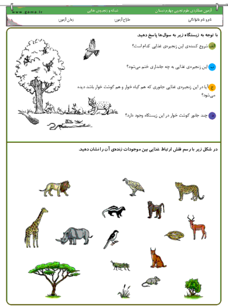 عکس زنجیره غذایی کلاس چهارم