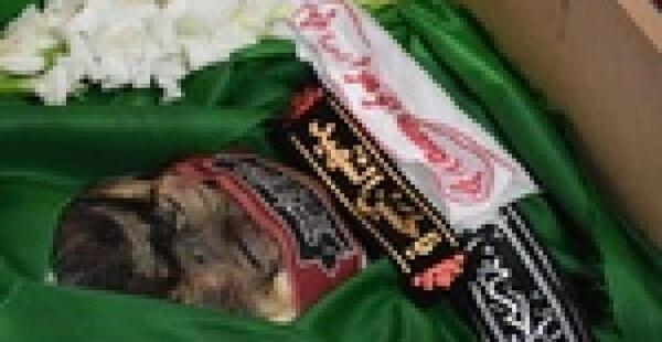عکس شهید سید رضا حسینی رفسنجان